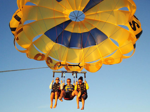 Venice parasailing-dolphins