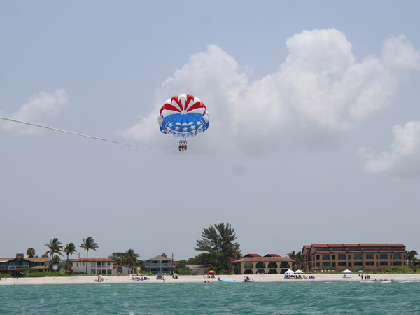 Venice parasail dolphins