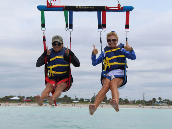 Venice parasail dolphins