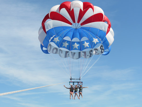 Venice parasail dolphins