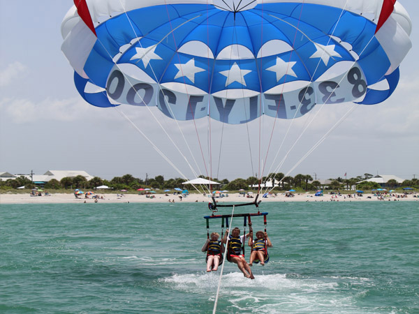 Venice parasail dolphins